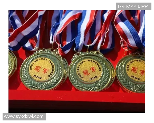 足球球星荣获国家勋章的背后故事与体育精神的象征